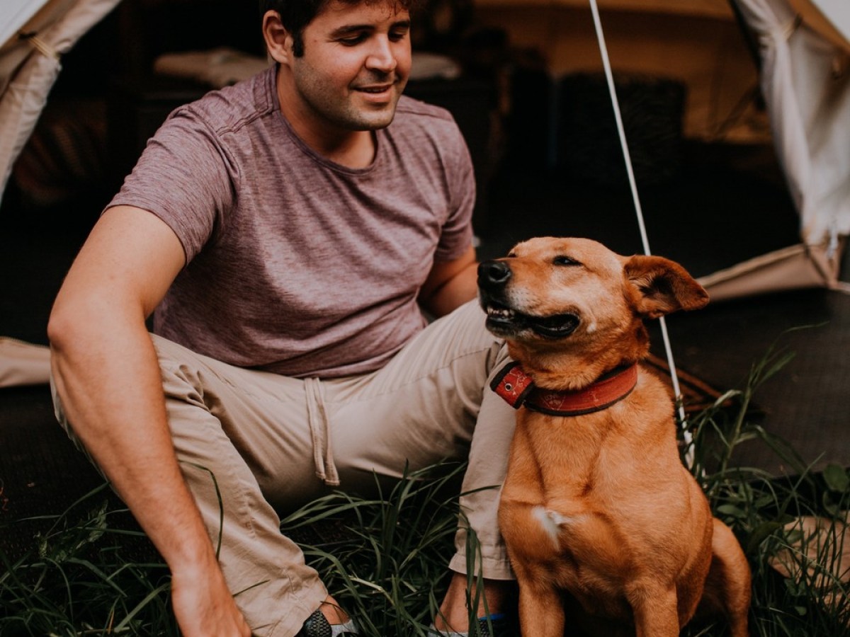 a person holding a dog
