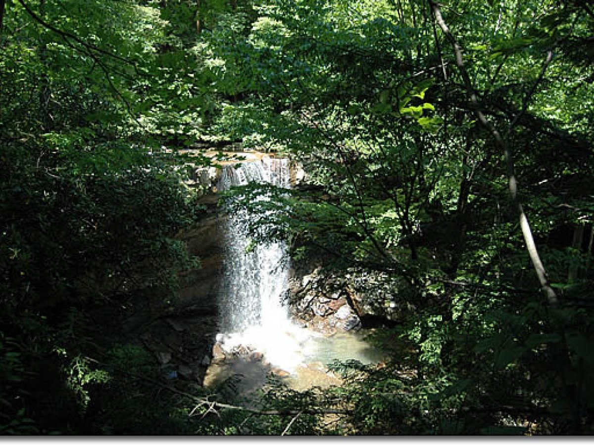 a waterfall in a forest