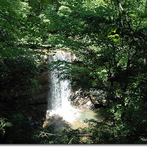 a waterfall in a forest
