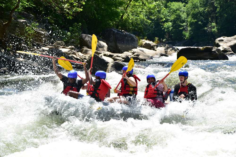 Group whitewater rafting with paddles through rapids.
