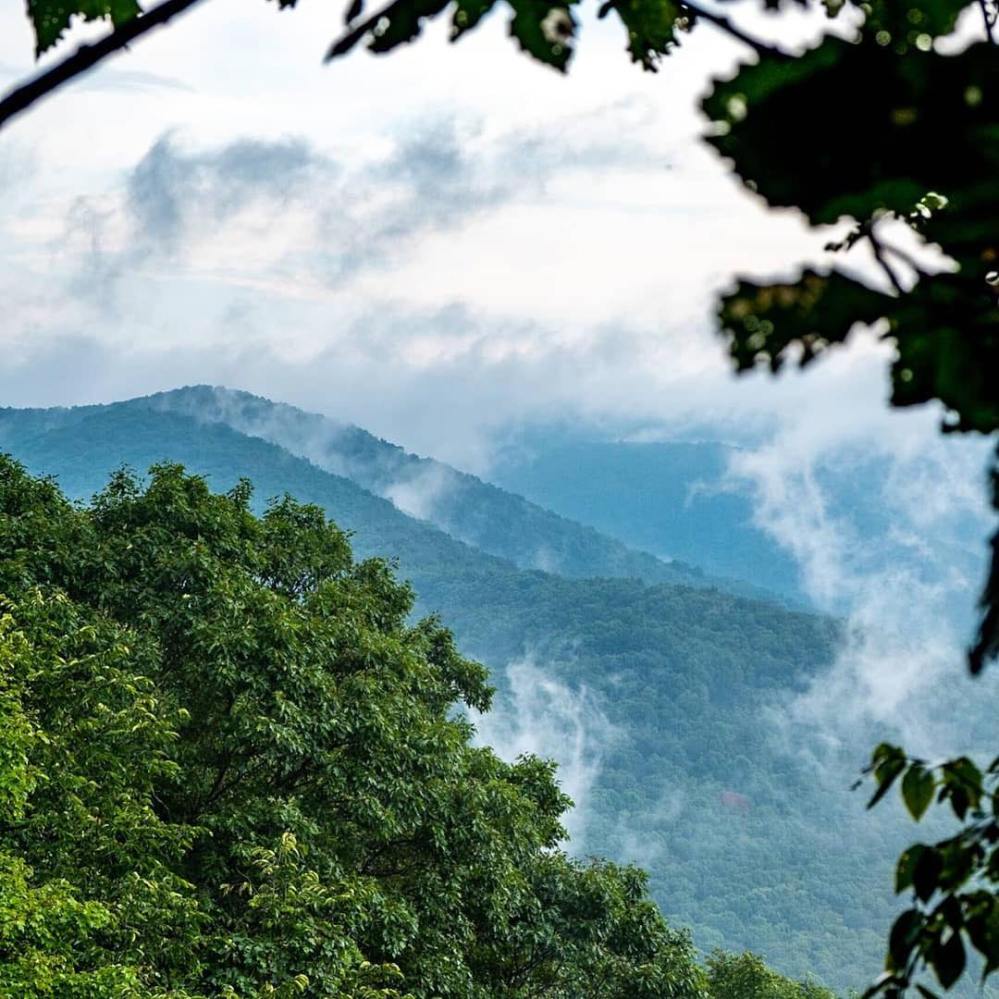 Lush green mountains with misty clouds and tree branches in foreground.