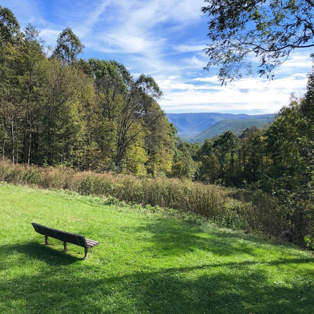 Wooden bench overlooks scenic valley and hills with trees under a blue sky.